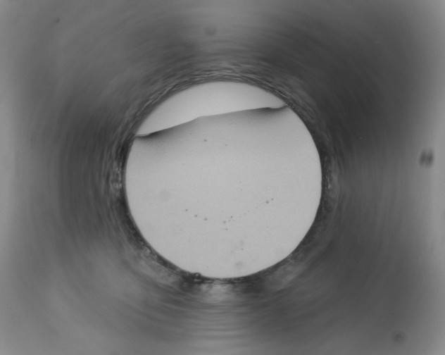 X0000112720419200909171109