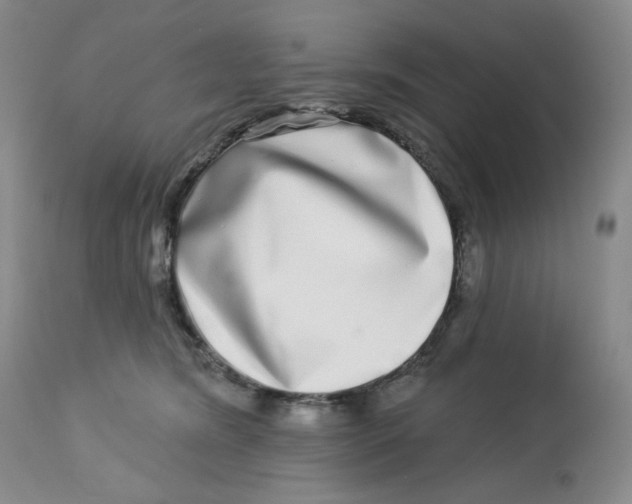 X0000112720420200909171109