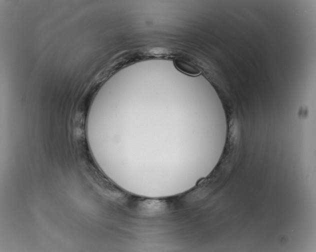 X0000112720421200909171109