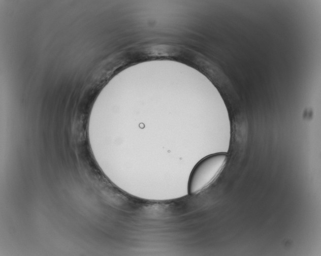 X0000112720422200909171109