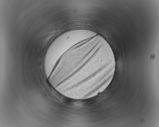 X0000112720423200909171109