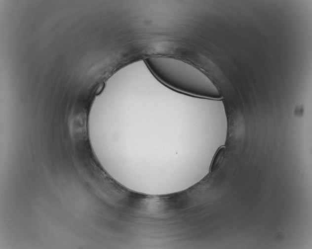 X0000112720425200909171109