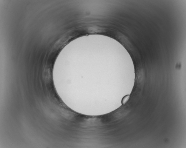 X0000112720426200909171109