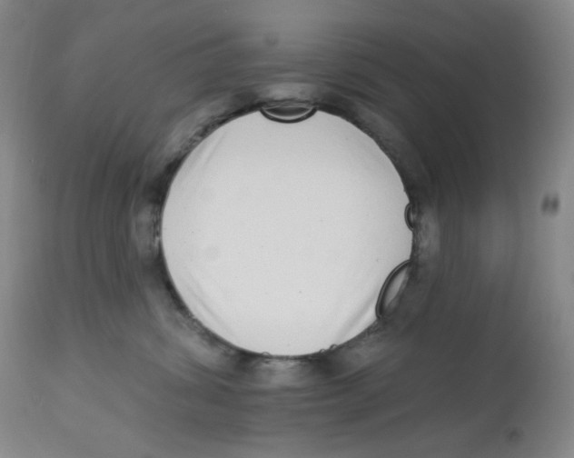 X0000112720428200909171108