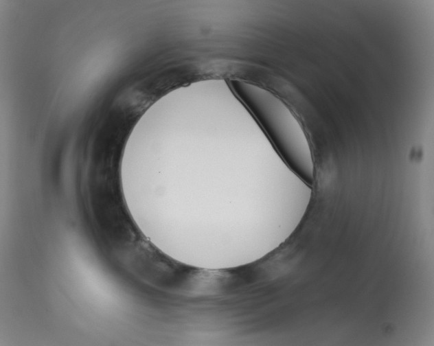 X0000112720429200909171108