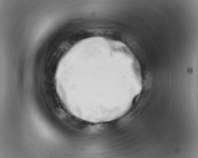 X0000112720430200909171108