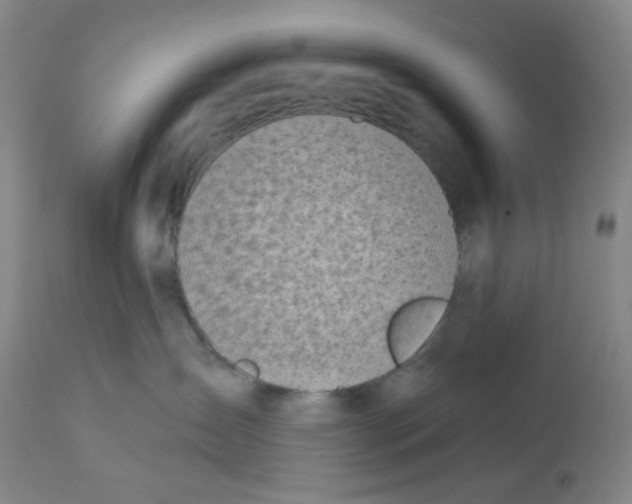 X0000112720431200909171108