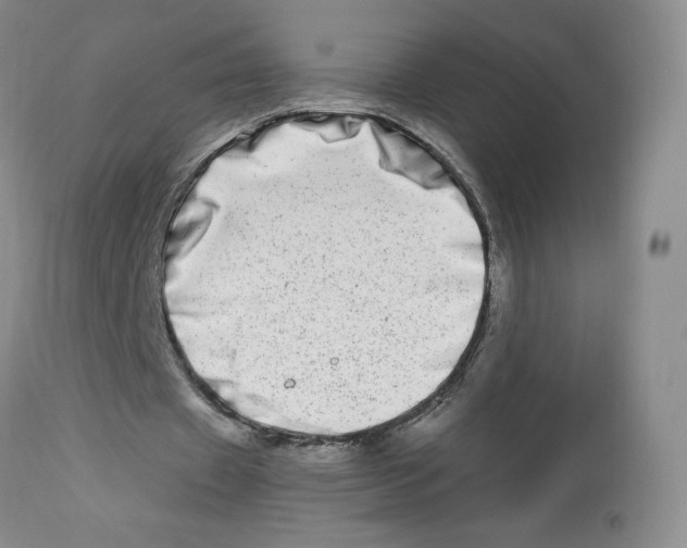 X0000112720433200909171108