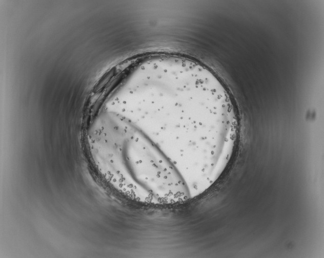 X0000112720434200909171108