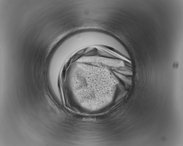 X0000112720440200909171108