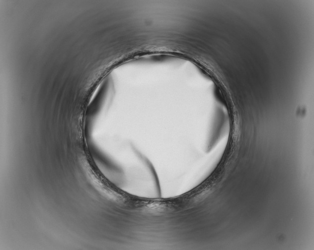 X0000112720441200909171108