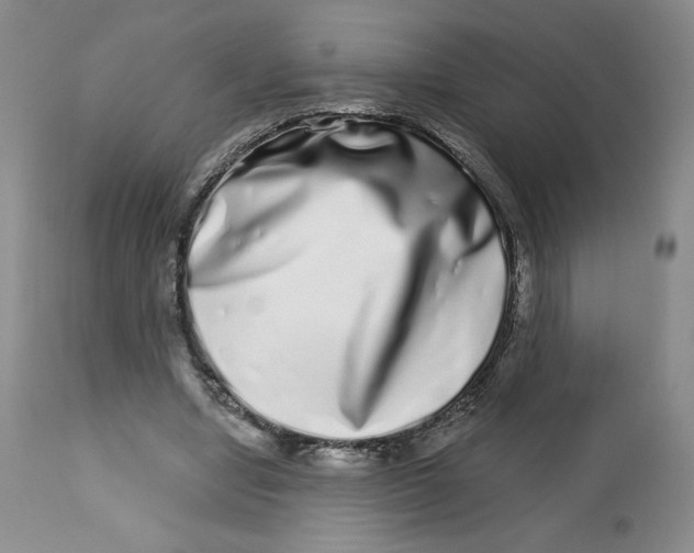 X0000112720442200909171108