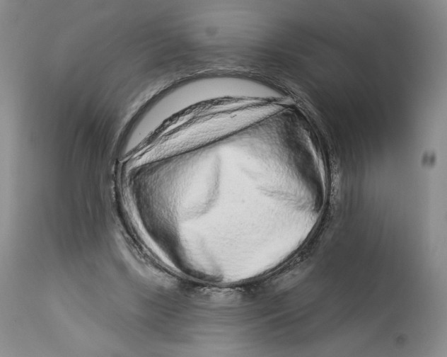 X0000112720443200909171108