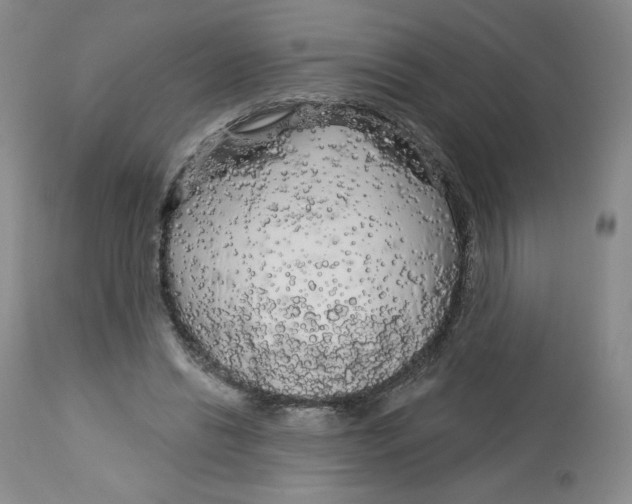 X0000112720446200909171108