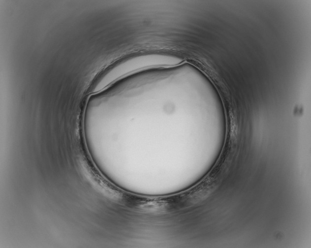 X0000112720447200909171108