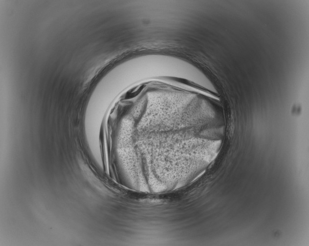 X0000112720448200909171108