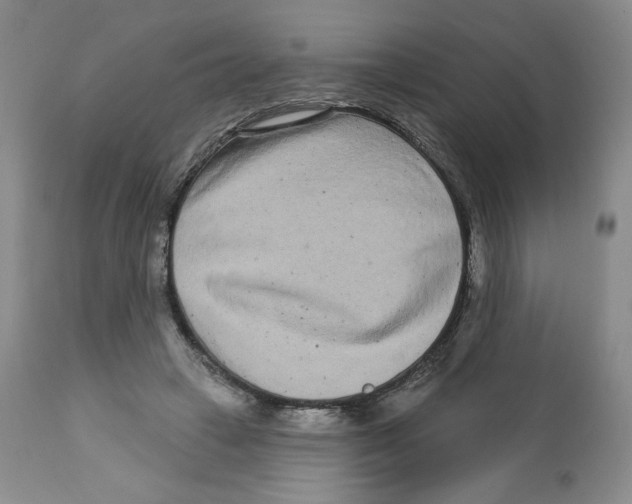 X0000112720449200909171108