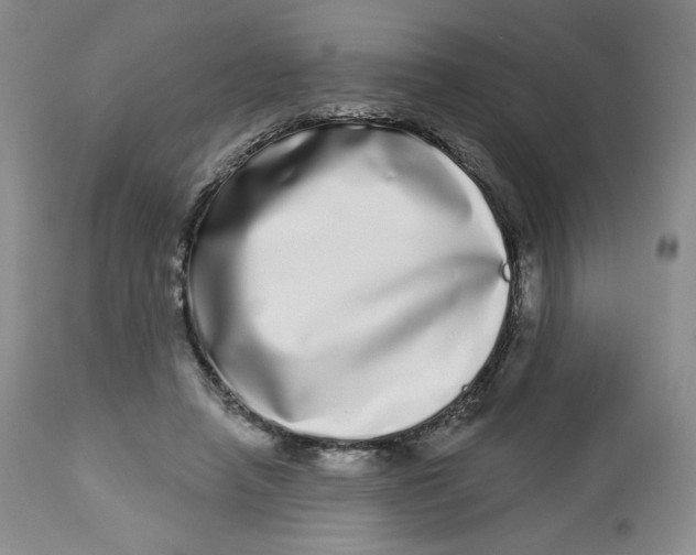 X0000112720450200909171108