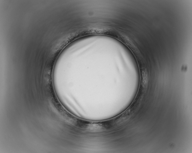 X0000112720451200909171108