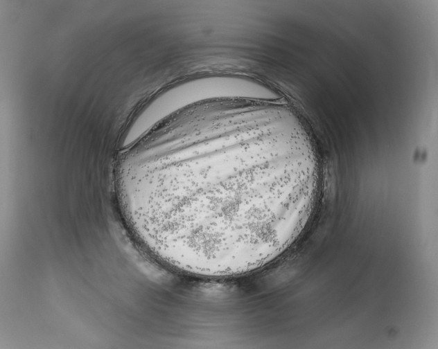 X0000112720453200909171108