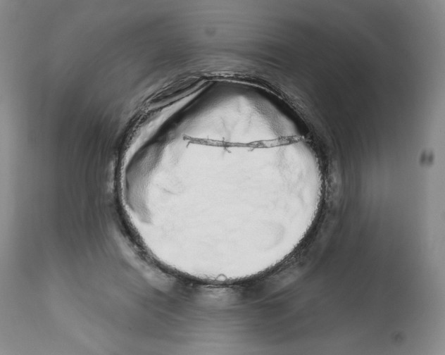 X0000112720454200909171108