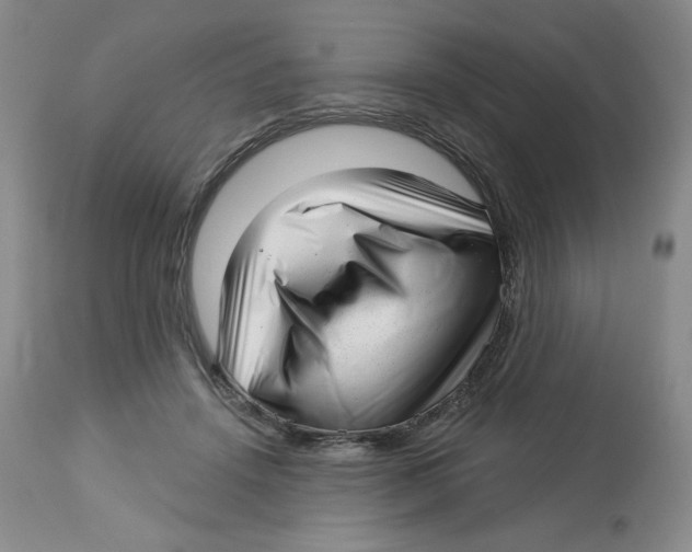 X0000112720456200909171108