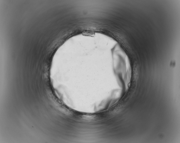 X0000112720457200909171108