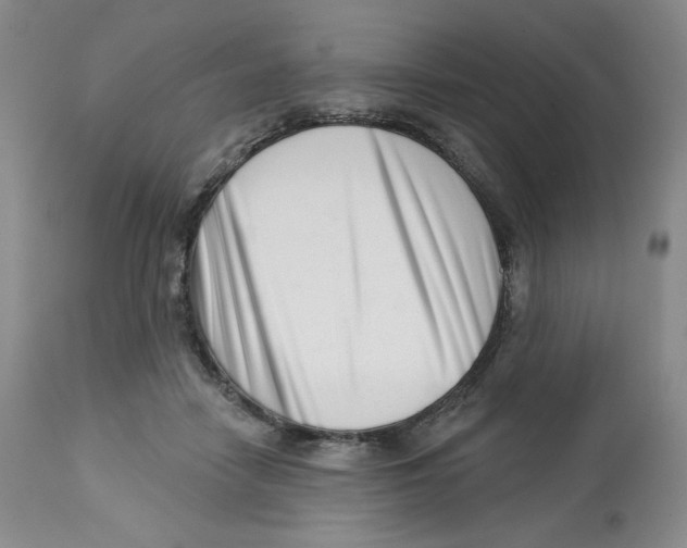 X0000112720458200909171108