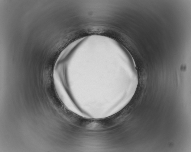 X0000112720460200909171108