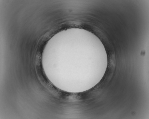 X0000112720468200909171108