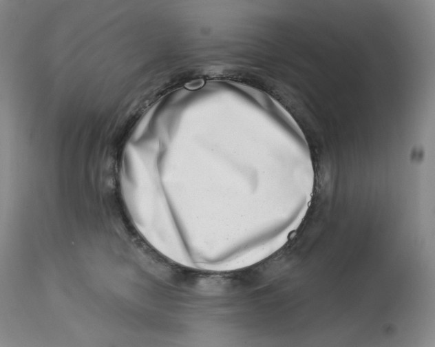 X0000112720470200909171108