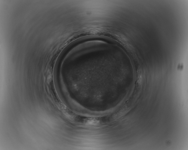 X0000112720471200909171108