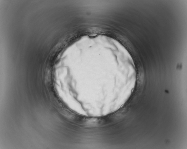 X0000112720473200909171108