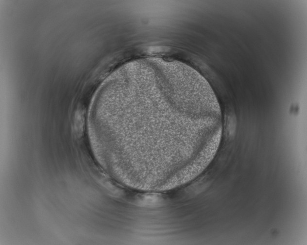 X0000112720475200909171108