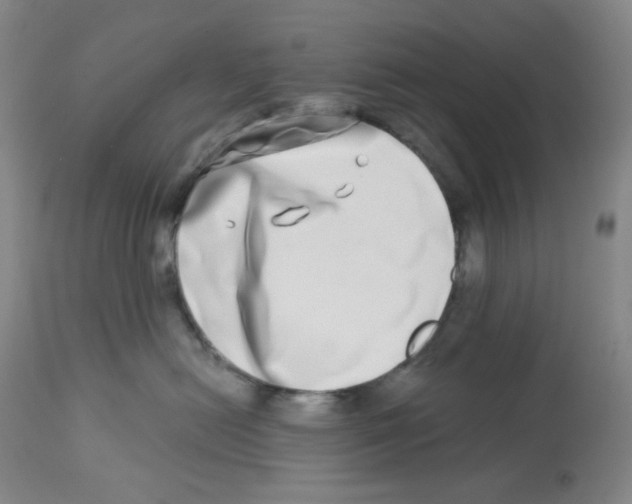 X0000112720478200909171108