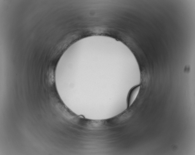 X0000112720479200909171108