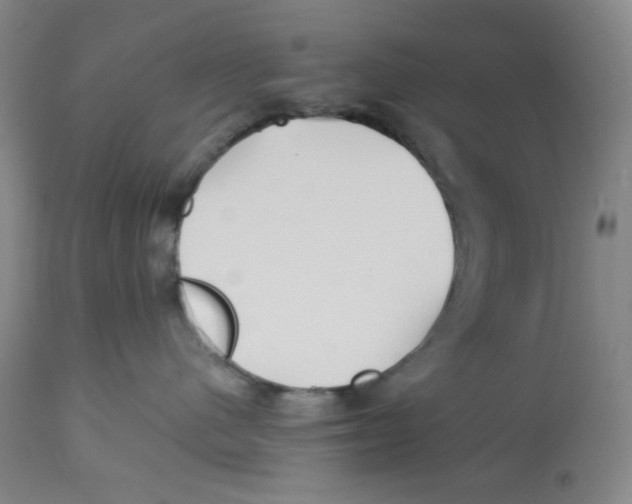 X0000112720480200909171108