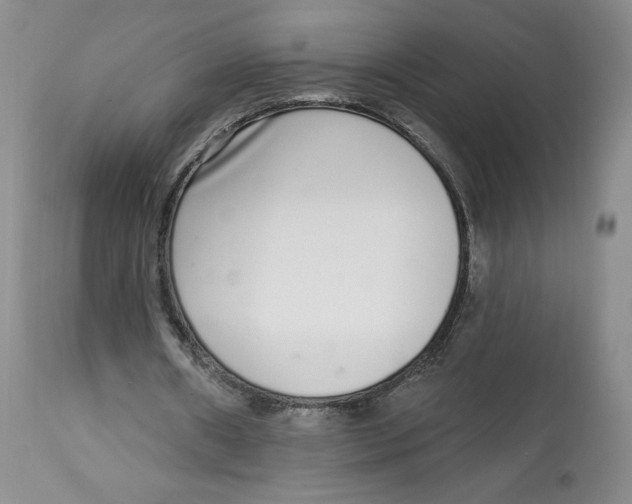 X0000112720482200909171108