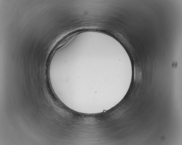 X0000112720483200909171108