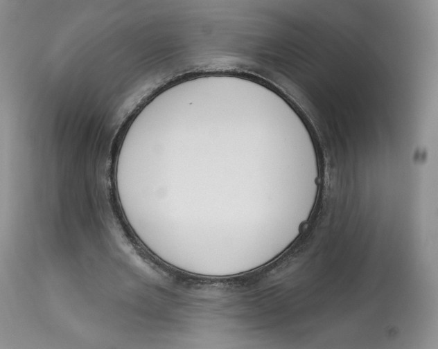 X0000112720485200909171108