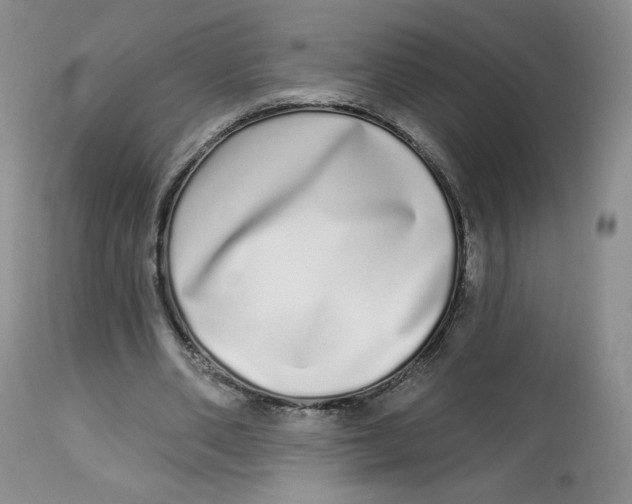 X0000112720486200909171108