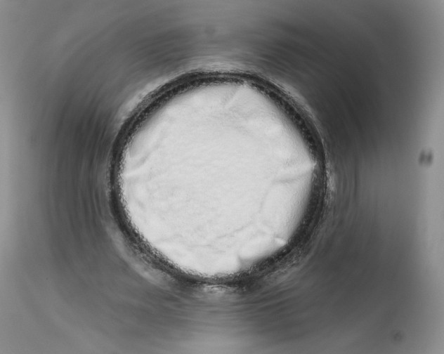 X0000112720487200909171108