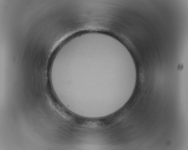 X0000112720488200909171108