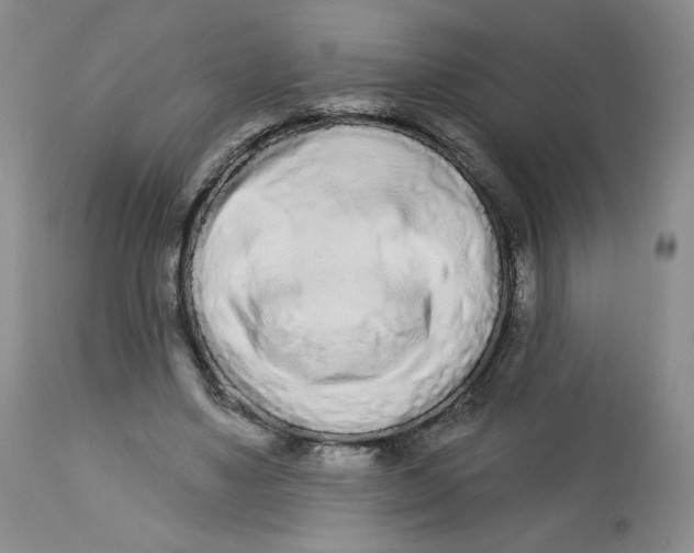 X0000112720491200909171108