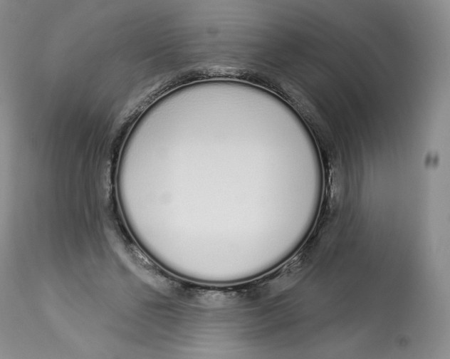 X0000112720494200909171108