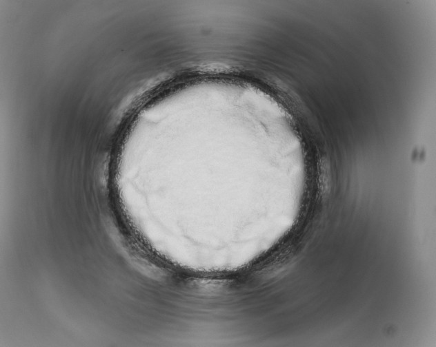 X0000112720495200909171108