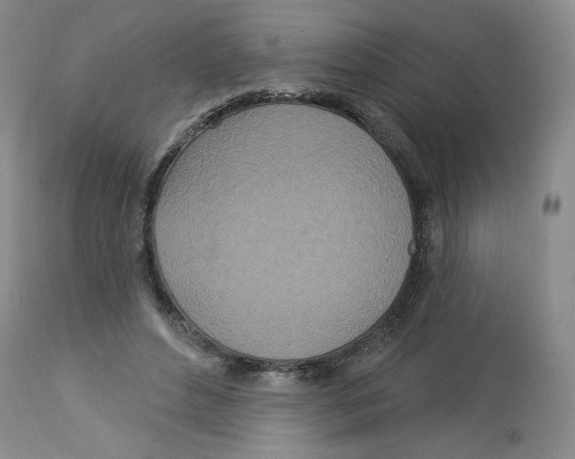 X0000112720496200909171108