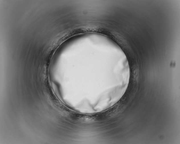 X0000112720498200909171108