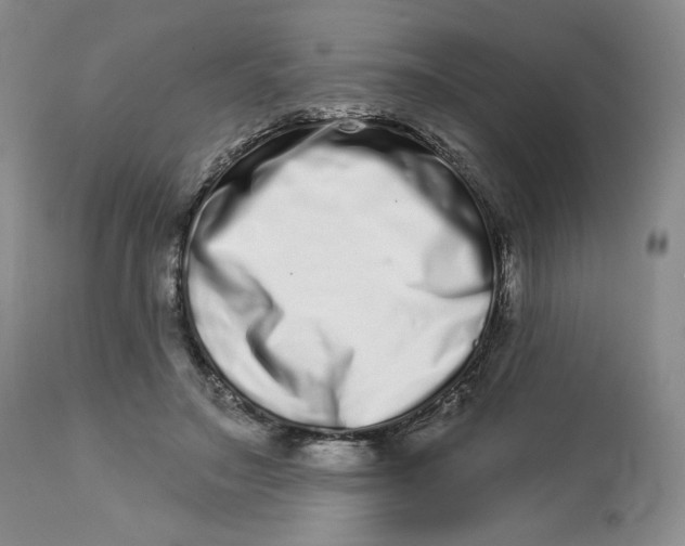 X0000112720499200909171108