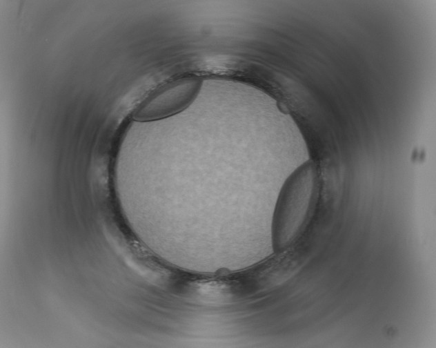 X0000112720500200909171107